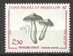 St Pierre And Miquelon, 1989, Mushroom, MNH, Michel 569 - Nuovi