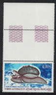 FSAT TAAF Snail Volute De Charcot Coin Label 2005 MNH SG#538 Sc#352 - Unused Stamps