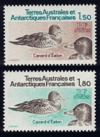 FSAT TAAF Pintails Birds 2v 1983 MNH SG#172-173 MI#172-173 - Neufs