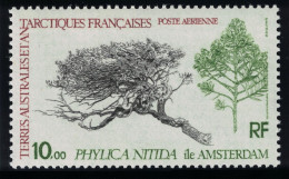 FSAT TAAF Antarctic Flora 'Phylica Nitida' 1980 MNH SG#147 MI#147 - Nuevos