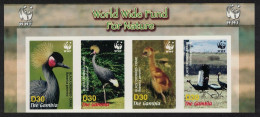 Gambia Birds WWF Black Crowned Crane Strip Of 4v Imperf WWF Logo 2006 MNH SG#4920-4923 MI#5631-5634 Sc#3014 A-d - Gambie (1965-...)