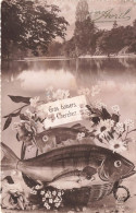 FÊTES ET VOEUX - 1er Avril - Gros Baisers Cherchez - Poisson - Lac - Carte Postale Ancienne - Erster April