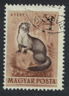 Hungary Beech Marten 20fi 1953 Canc SG#1274 Sc#C114 - Used Stamps