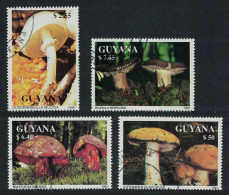 Guyana Fungi Mushrooms 4v 1987 CTO - Guyane (1966-...)