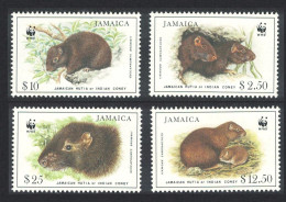 Jamaica WWF Brown's Hutia 4v 1986 MNH SG#899-902 - Giamaica (1962-...)
