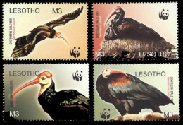 Lesotho WWF Southern Bald Ibis Birds 4v 2004 MNH SG#1934-1937 MI#1895-1898 Sc#1336 A-d - Lesotho (1966-...)