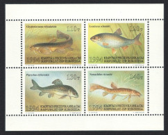 Kyrgyzstan Fish 4v Sheetlet 1994 MNH SG#43-46 MI#44-47 - Kirghizistan