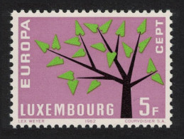 Luxembourg Stylised Tree Europa 5f. 1962 MNH SG#708 MI#658 - Nuovi