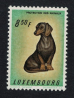 Luxembourg Dachshund Dog 1961 MNH SG#694 MI#640 - Ongebruikt