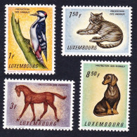 Luxembourg Woodpecker Bird Dachshund Dog Cat Horse Animals 4v 1961 MNH SG#691-694 MI#637-40 - Neufs