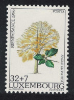 Luxembourg Common Beech Tree Key Value 1996 MNH SG#1435 MI#1407 - Nuevos