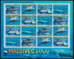 Maldives WWF Melon-headed Whale Sheetlet Of 4 Sets 2009 MNH SG#4234-4237 MI#4768-4771 Sc#2987a-d - Maldivas (1965-...)