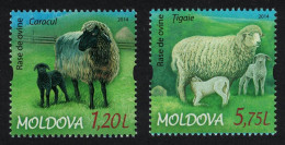 Moldova Sheep Breeds 2v 2014 MNH SG#858-859 - Moldova