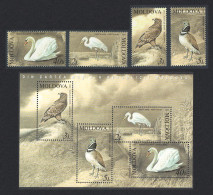 Moldova Swan Eagle Bustard Egret Birds 4v+MS 2003 MNH SG#477-MS481 MI#481-484+Block 30 Sc#461-464 - Moldova