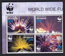 Micronesia WWF Feather Stars 4v Block Of 4 WWF Logo 2005 MNH SG#1347-1350 MI#1674-1677 Sc#659 A-d - Micronesia