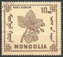 MONGOLIE N° 435 OBLITERE - Mongolia