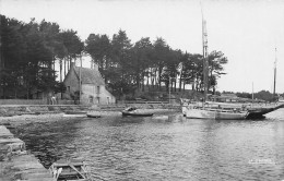 Ile Aux Moines * Le Port Et Le Bois D'amour * Bateau SIMONE ALBERT - Ile Aux Moines