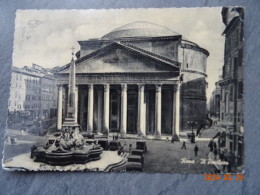 THE PANTHEON - Pantheon