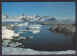 Port Circoncision Ile Petermann Lieu D'hivernage De JB Charcot Lors De L'expédition Du Pourquoi Pas ? - TAAF : Terres Australes Antarctiques Françaises