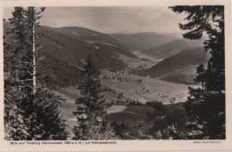 85441 - St. Blasien-Menzenschwand - Blick Vom Feldberg - Ca. 1955 - St. Blasien