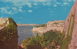 122714 - Malta - Malta - Marsamxett Harbour - Malta