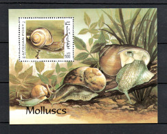 Afghanistan 1999 Sheet Snail/molluscs Stamps (Michel 111) Nice MNH - Afganistán