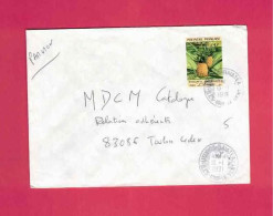 Lettre De 1991 Pour La France - YT N° 374 - Ananas ,- Oblitération De Uturoa-Raiatea Iles-sous-le-vent - Storia Postale