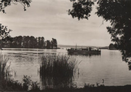 56058 - Bad Saarow-Pieskow - MS Scharmützelsee Vor Dem Kleinen Werl - 1974 - Bad Saarow