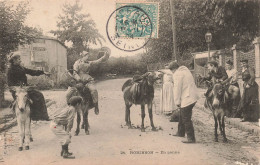 CARTE PHOTO - âne - Hommes - Femmes - Robinson - En Panne - Animé - Carte Postale Ancienne - Fotografia