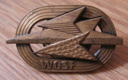 Insigne Ancien De Brevet Sportif Bronze Polonais - Armée Populaire De Pologne - WOSF - Autres & Non Classés