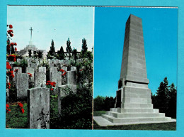 * Passendale - Passchendaele (Zonnebeke) * (Uitgave Bedevaart Ijzer) Tyne Cot Cemetery, Polygoon Wood Cemetery - Zonnebeke