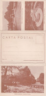 PORTUGAL - CARTA POSTAL - PEDRAS SALGADAS - Maximumkaarten