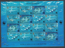 Montserrat WWF Great Hammerhead Shark Sheetlet Of 4 Sets 1999 MNH SG#1148-1151 MI#1109-1112 Sc#998 A-d - Montserrat