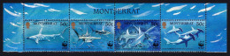 Montserrat WWF Great Hammerhead Shark Top Strip Of 4v Country Name 1999 MNH SG#1148-1151 MI#1109-1112 Sc#998 A-d - Montserrat