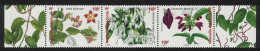 New Caledonia Flowers Ornamental Vines Strip Of 3v 2006 MNH SG#1382-1384 MI#1392-1394 - Neufs