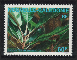 New Caledonia Rainforest Shrub 'Sebertia Acuminata' Nickel 1995 MNH SG#1040 - Ongebruikt