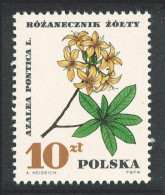 Poland Protected Plants 10 ZL Key Value 1967 MNH SG#1755 Sc#1516 - Nuevos
