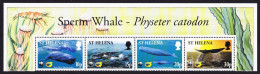 St. Helena WWF Sperm Whale Strip Of 4v With Latin Name 2002 MNH SG#872-875 MI#852-855 Sc#813-816 - St. Helena