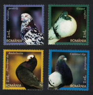 Romania Domestic Pigeons 4v 2005 MNH SG#6586-6589 - Unused Stamps
