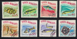 Romania Constantza Aquarium Fish 8v 1964 Canc SG#3146-3153 MI#3280-3287 - Used Stamps