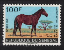 Senegal Horse-breeding Improvement Campaign Pass 1971 MNH SG#453 - Senegal (1960-...)