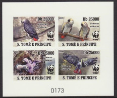 Sao Tome Birds WWF Grey Parrot De-Luxe Sheet Combo Imperf 2009 MNH MI#3777B-3780B - Sao Tome And Principe