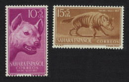 Spanish Sahara Striped Hyena 2v 1957 MNH SG#139-140 MI#173-174 Sc#B43-B44 - Sahara Español