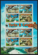 Turks And Caicos Birds WWF Red-tailed Hawk MS 2007 MNH SG#MS1974 MI#1853-1856 Sc#1482a-d - Turcas Y Caicos