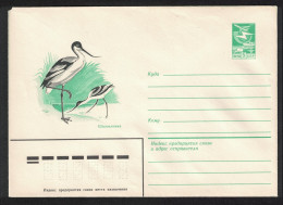 USSR Pied Avocet Bird Pre-paid Envelope 1983 - Usati