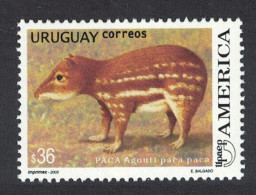Uruguay Paca Paca Rodent 36p 2003 MNH SG#2856 MI#2770 - Uruguay