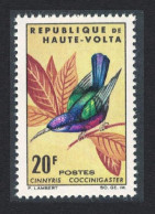 Upper Volta Splendid Sunbird Bird 20f 1965 MNH SG#156 - Alto Volta (1958-1984)