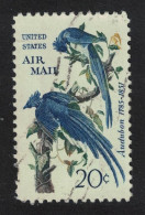 USA Collie's Magpie-jays Birds Audubon 5c T1 1963 Canc SG#1223 MI#854 - Used Stamps