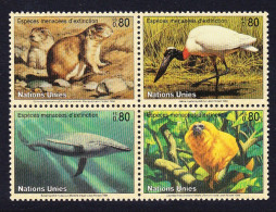 UN Geneva Prairie Dog Whale Golden Langur Jabiru Bird 4v Block 2*2 1994 MNH SG#G246-G249 MI#245-248 Sc#249a - Altri & Non Classificati