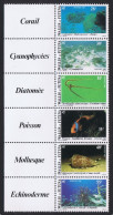 Wallis And Futuna Fish Shells Corals Undersea Fauna Strip Of 6v Left Labels 1981 MNH SG#370-375 Sc#269a - Ongebruikt